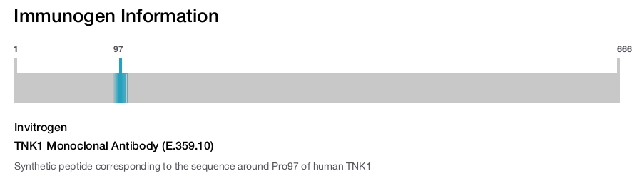 TNK1 Monoclonal Antibody (E.359.10)