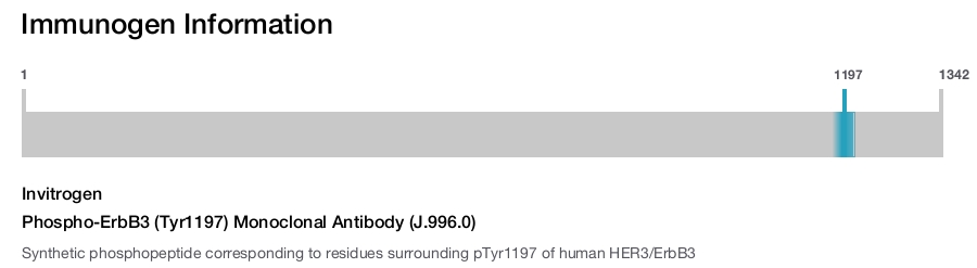 Phospho-ErbB3 (Tyr1197) Monoclonal Antibody (J.996.0)
