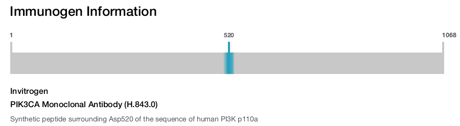 PIK3CA Monoclonal Antibody (H.843.0)