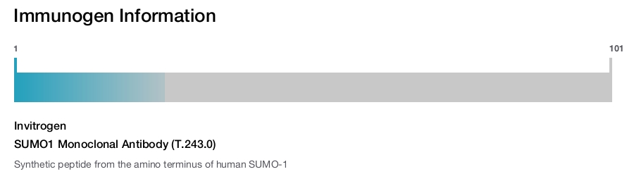 SUMO1 Monoclonal Antibody (T.243.0)