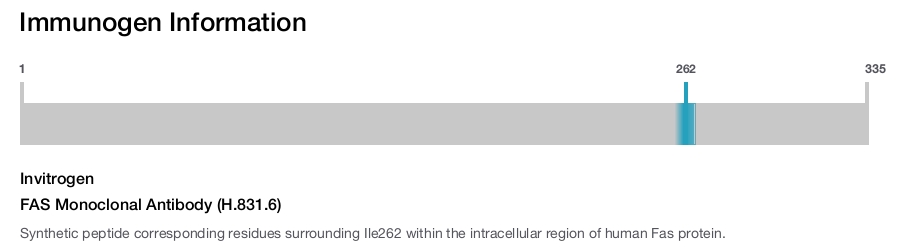FAS Monoclonal Antibody (H.831.6)