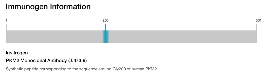 PKM2 Monoclonal Antibody (J.473.9)