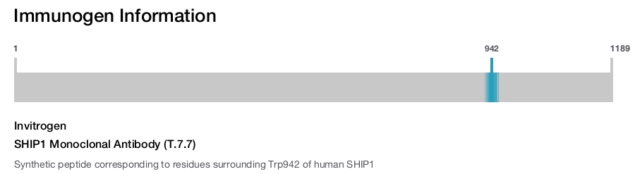 SHIP1 Monoclonal Antibody (T.7.7)