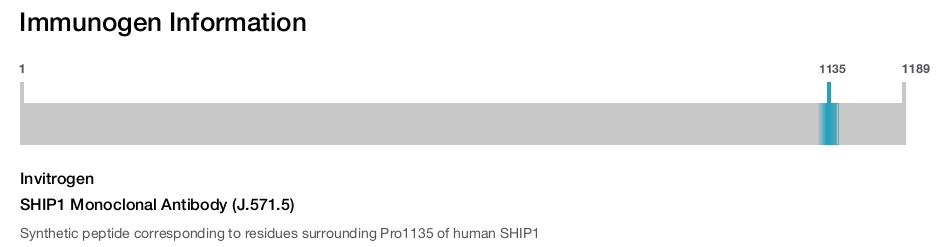 SHIP1 Monoclonal Antibody (J.571.5)