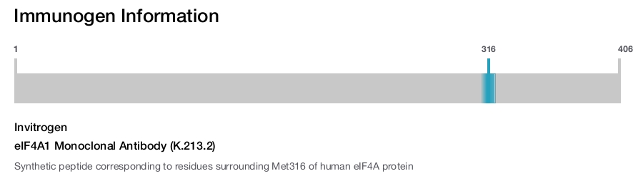 eIF4A1 Monoclonal Antibody (K.213.2)