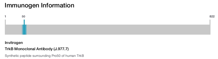 TrkB Monoclonal Antibody (J.977.7)