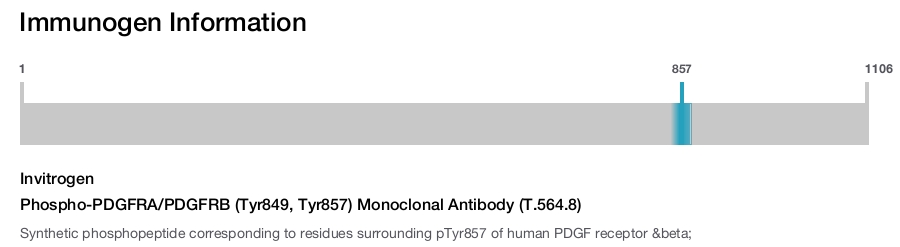 Phospho-PDGFRA/PDGFRB (Tyr849, Tyr857) Monoclonal Antibody (T.564.8)