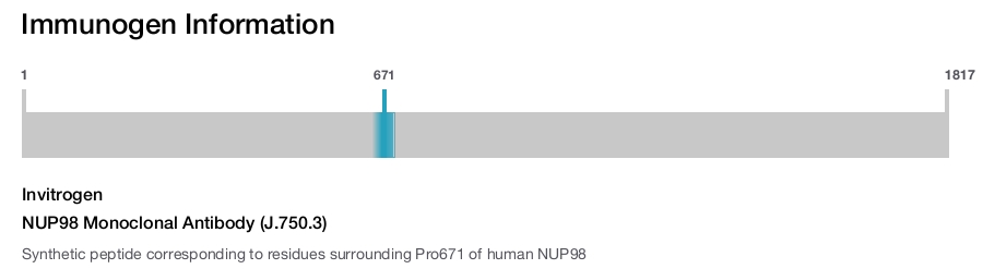 NUP98 Monoclonal Antibody (J.750.3)