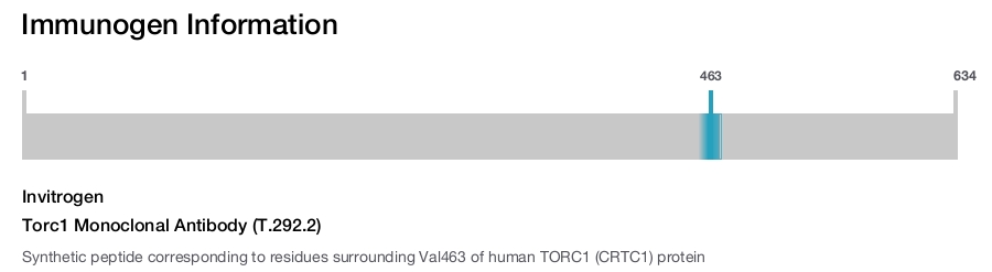 Torc1 Monoclonal Antibody (T.292.2)