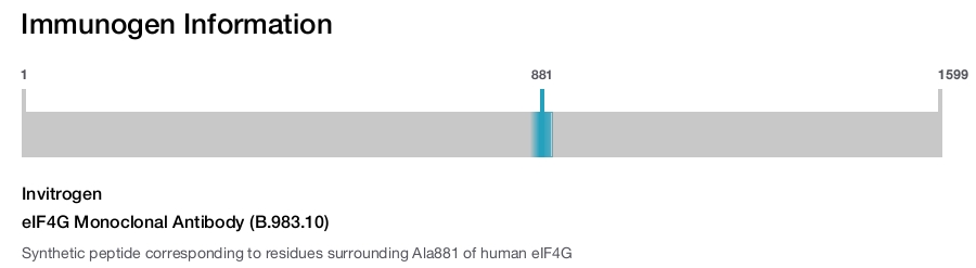 eIF4G Monoclonal Antibody (B.983.10)