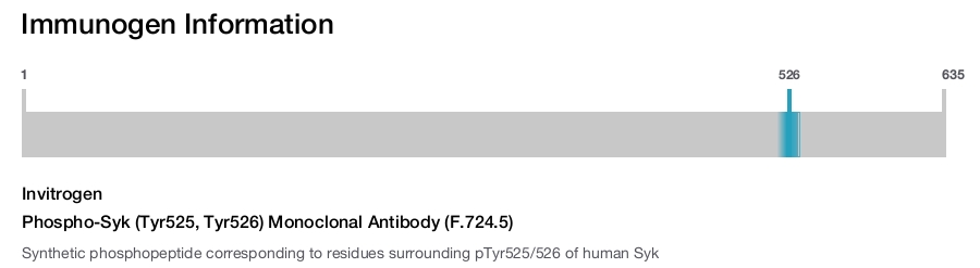 Phospho-Syk (Tyr525, Tyr526) Monoclonal Antibody (F.724.5)