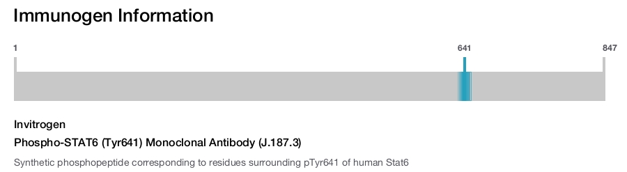 Phospho-STAT6 (Tyr641) Monoclonal Antibody (J.187.3)