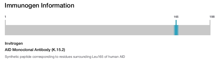 AID Monoclonal Antibody (K.15.2)