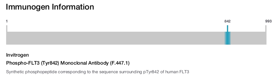 Phospho-FLT3 (Tyr842) Monoclonal Antibody (F.447.1)