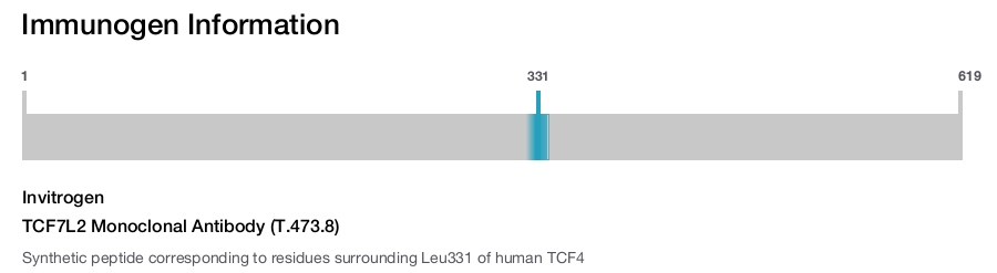 TCF7L2 Monoclonal Antibody (T.473.8)