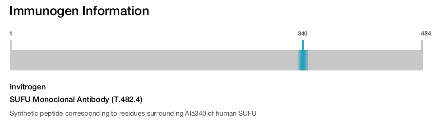 SUFU Monoclonal Antibody (T.482.4)