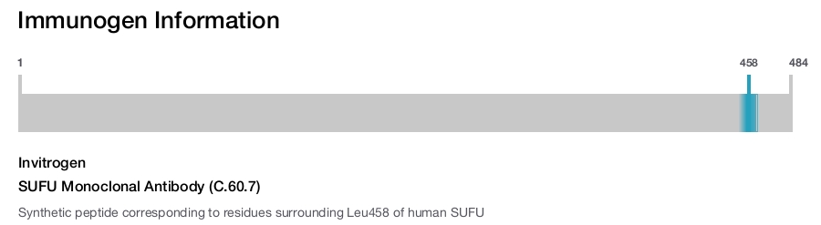 SUFU Monoclonal Antibody (C.60.7)