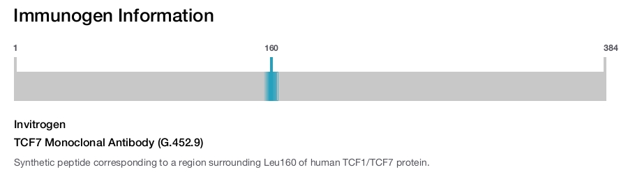 TCF7 Monoclonal Antibody (G.452.9)