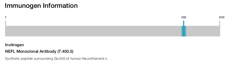 NEFL Monoclonal Antibody (T.400.5)