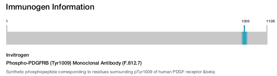 Phospho-PDGFRB (Tyr1009) Monoclonal Antibody (F.812.7)