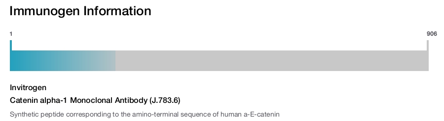 Catenin alpha-1 Monoclonal Antibody (J.783.6)