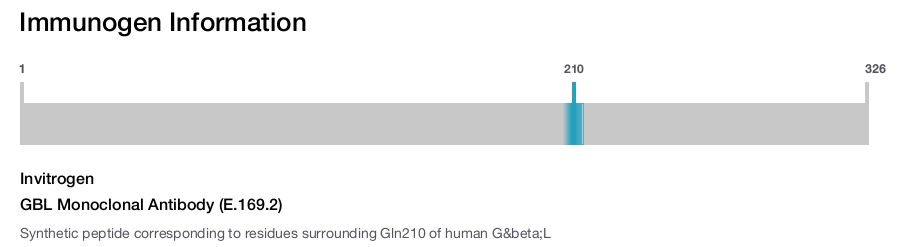 GBL Monoclonal Antibody (E.169.2)
