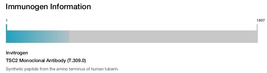 TSC2 Monoclonal Antibody (T.309.0)