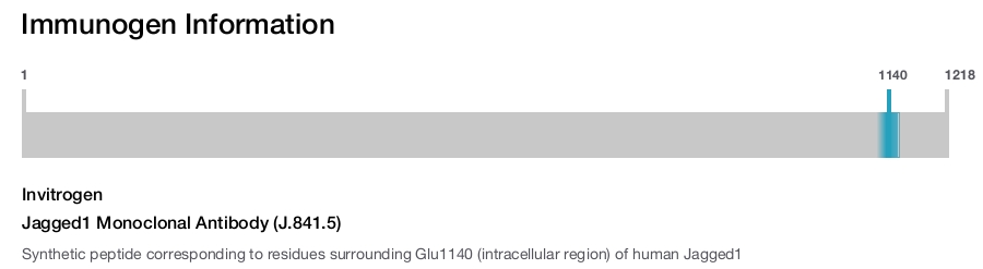 Jagged1 Monoclonal Antibody (J.841.5)