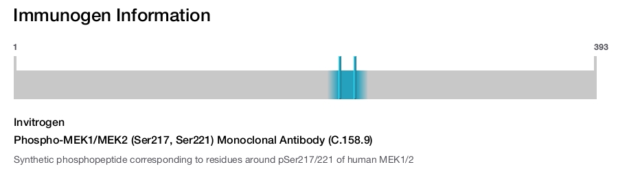 Phospho-MEK1/MEK2 (Ser217, Ser221) Monoclonal Antibody (C.158.9)