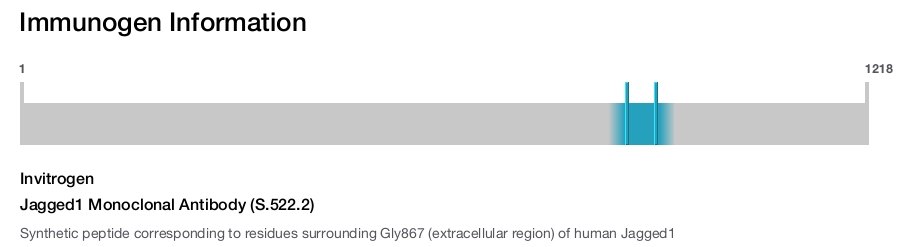 Jagged1 Monoclonal Antibody (S.522.2)