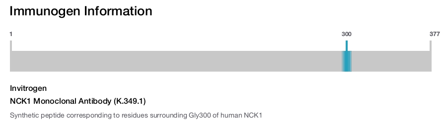 NCK1 Monoclonal Antibody (K.349.1)