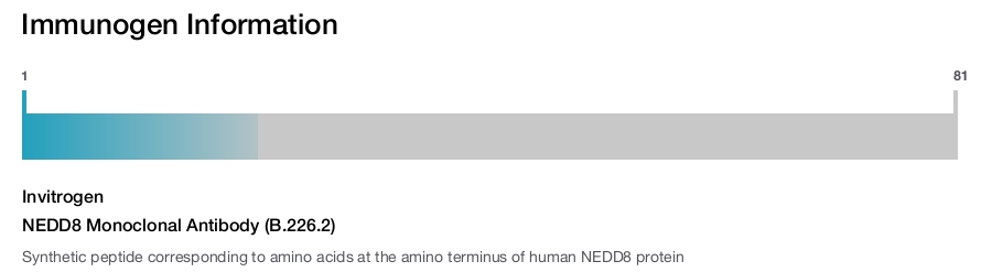 NEDD8 Monoclonal Antibody (B.226.2)