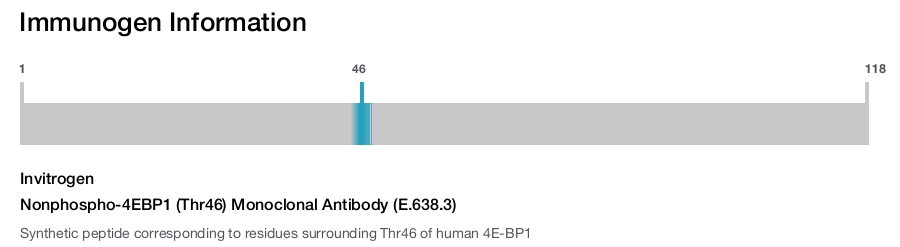 Nonphospho-4EBP1 (Thr46) Monoclonal Antibody (E.638.3)