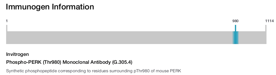 Phospho-PERK (Thr980) Monoclonal Antibody (G.305.4)