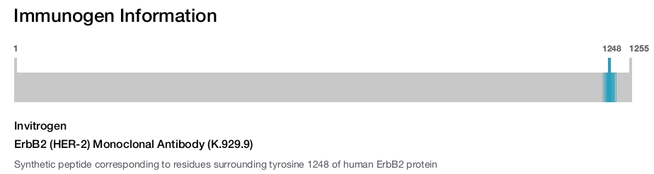 ErbB2 (HER-2) Monoclonal Antibody (K.929.9)