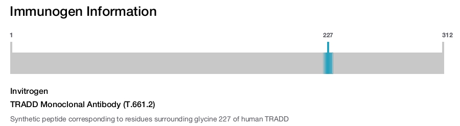 TRADD Monoclonal Antibody (T.661.2)