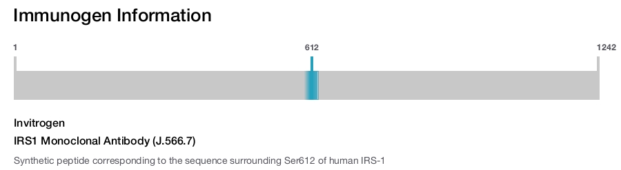IRS1 Monoclonal Antibody (J.566.7)