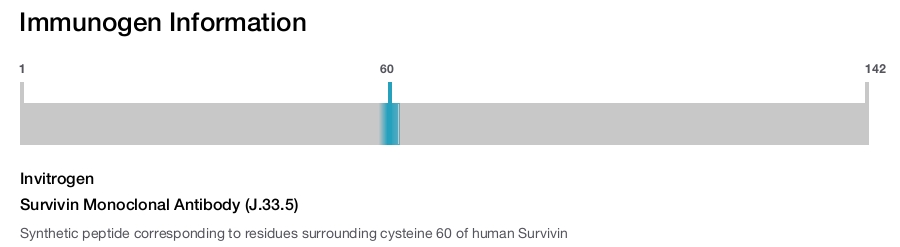 Survivin Monoclonal Antibody (J.33.5)