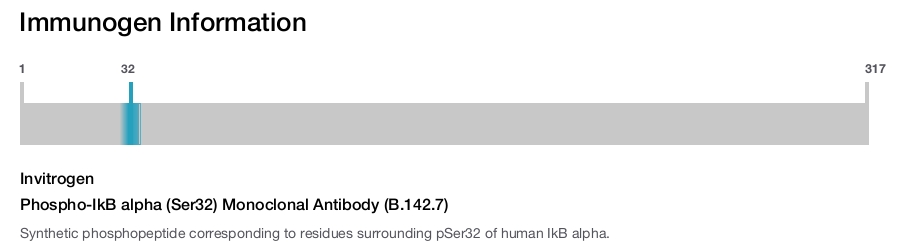 Phospho-IkB alpha (Ser32) Monoclonal Antibody (B.142.7)