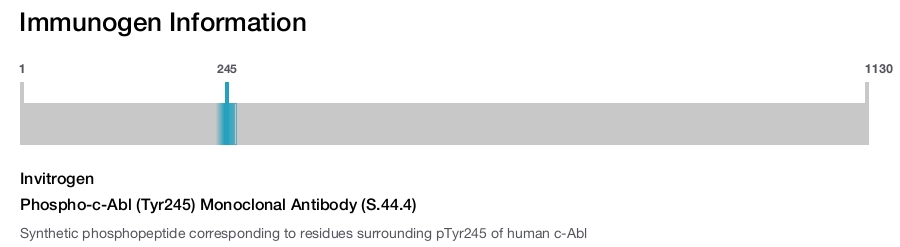 Phospho-c-Abl (Tyr245) Monoclonal Antibody (S.44.4)