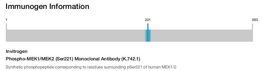 Phospho-MEK1/MEK2 (Ser221) Monoclonal Antibody (K.742.1)