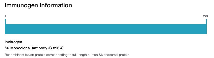 S6 Monoclonal Antibody (C.896.4)