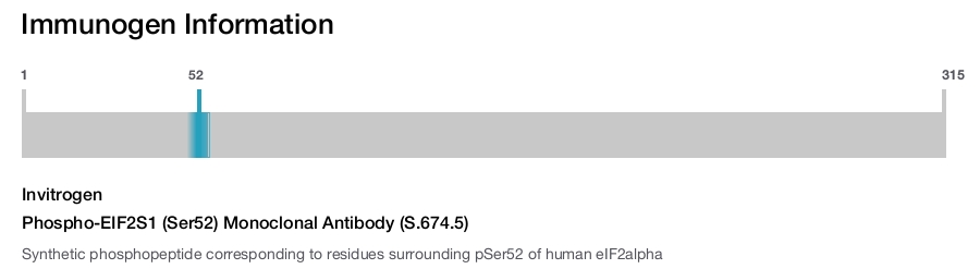 Phospho-EIF2S1 (Ser52) Monoclonal Antibody (S.674.5)