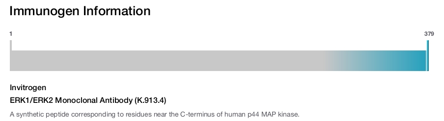ERK1/ERK2 Monoclonal Antibody (K.913.4)