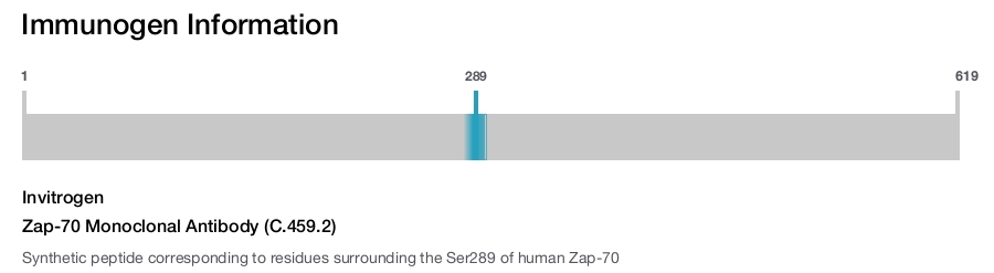 Zap-70 Monoclonal Antibody (C.459.2)