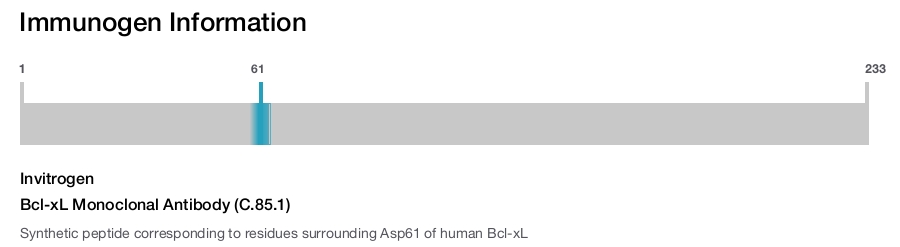 Bcl-xL Monoclonal Antibody (C.85.1)