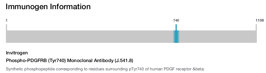 Phospho-PDGFRB (Tyr740) Monoclonal Antibody (J.541.8)