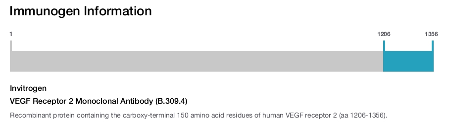 VEGF Receptor 2 Monoclonal Antibody (B.309.4)