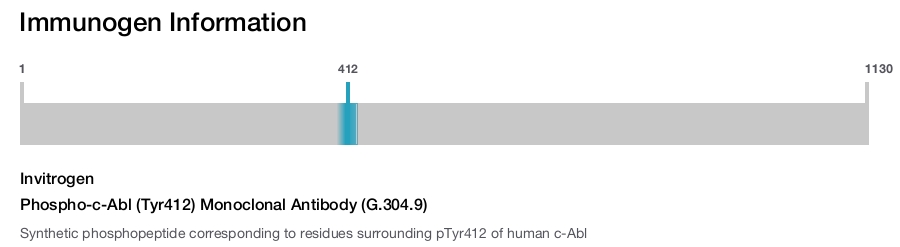 Phospho-c-Abl (Tyr412) Monoclonal Antibody (G.304.9)