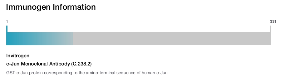 c-Jun Monoclonal Antibody (C.238.2)